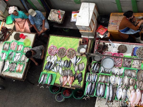 Jelang Malam Tahun Baru, Ikan dan Kerang Mulai Diburu
