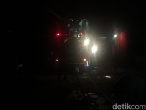 Petugas Damkar Evakuasi 2 Sarang Tawon di Depok
