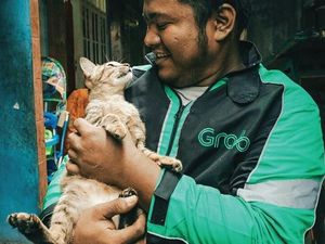 Cerita Driver Ojol Penyelamat Hewan sampai Dijuluki Rescuer Nekat