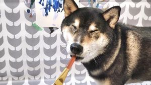 Gemas! Anjing Ini Ternyata Jago Melukis