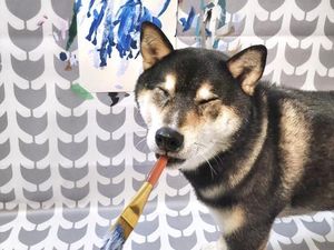 Gemas! Anjing Ini Ternyata Jago Melukis