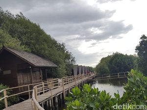 Tahun Baru di Jakarta? ke Taman Mangrove Saja Tahun Baru di Jakarta? ke Taman Mangrove Saja