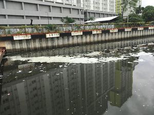 UPK Badan Air DKI Ungkap Penyebab Munculnya Busa di Kali Item UPK Badan Air DKI Ungkap Penyebab Munculnya Busa di Kali Item