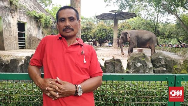 Merekam Momen Tahun Baru Pawang Gajah di Ragunan