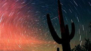 10 Hujan Meteor yang Akan Hiasi Langit di Tahun 2019