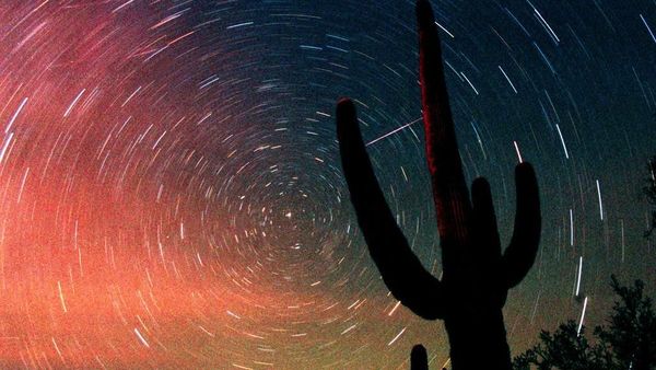 10 Hujan Meteor yang Akan Hiasi Langit di Tahun 2019