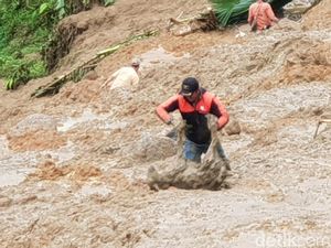 Mengembik di Timbunan Longsor, Kambing Ini Diselamatkan Warga