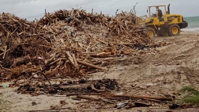 Pantai di Canggu Bali Banjir Sampah Pohon