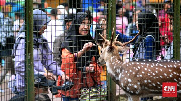 Ragunan Dikunjungi Puluhan Ribu Orang pada Hari Kedua Lebaran