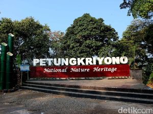 Foto: Alam Petungkriyono Kebanggaan Pekalongan