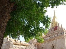 Eksotisme Ribuan Candi di Bagan, Myanmar
