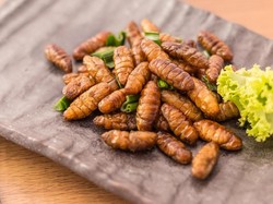 Suka Kuliner Ekstrem, Chef Stefu Pernah Cicip Ular, Kelabang dan Kijang