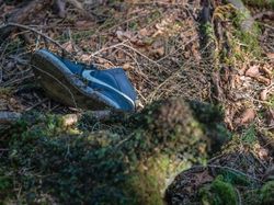 Berita dan Informasi Hutan bunuh diri di jepang Terkini dan Terbaru