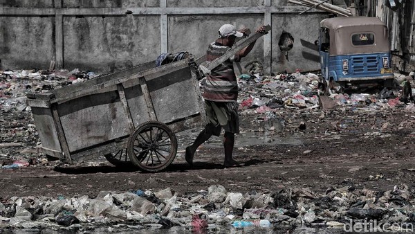 Foto: Pradita Utama Foto: Pradita Utama