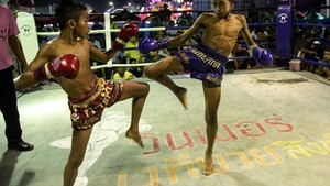 PBMI Sertifikasi Wasit, Juri, dan Pelatih Jelang IMC 2026