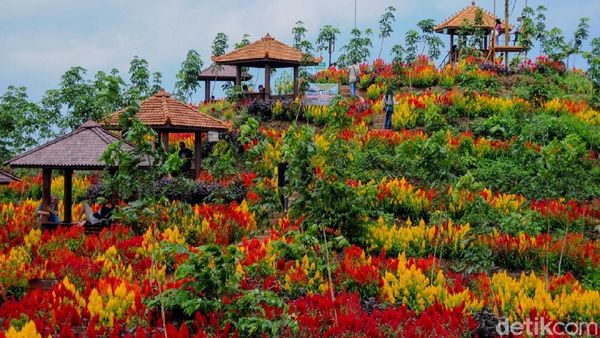 Foto: Tempat Wisata Murah Meriah Tapi Cantik di Batang