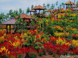Mau Liburan Murah Awal Tahun di Kabupaten Batang, Ini Tempatnya