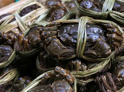 Gara-gara Truk Rusak, Dua Ton Kepiting Terpanggang di Jalan Raya