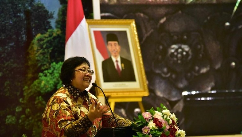 KLHK Rencana Tingkatkan Rehabilitasi Hutan 10x Lipat di 2019