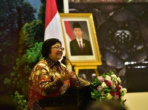 KLHK Rencana Tingkatkan Rehabilitasi Hutan 10x Lipat di 2019