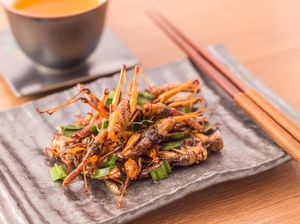 Dikonsumsi Sejak Ribuan Tahun Lalu, Serangga Kini Makin Banyak Diburu Karena Nutrisinya Dikonsumsi Sejak Ribuan Tahun Lalu, Serangga Kini Makin Banyak Diburu Karena Nutrisinya