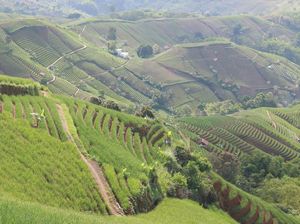 Majalengka dan Dilema Industrialisasi Majalengka dan Dilema Industrialisasi