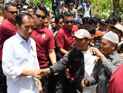 Relawan Usul Jokowi Nafkahi Janda, Golkar: Patut Dipertimbangkan