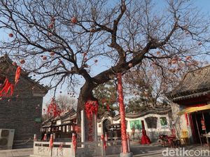 Foto: Desa Pembuat Kertas Tahun Baru Imlek yang Legendaris di China