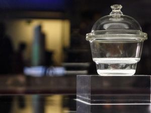 Mengharukan, Bayi Tabung Ini Lahir dari Iuran Grup Facebook