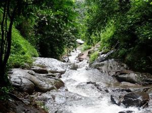 Sensasi Trekking Menuju Coban Rais di Batu