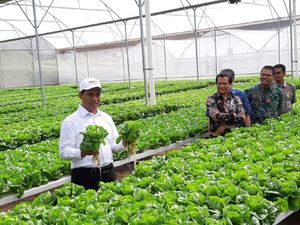 Kementan Siapkan Grand Design Hortikultura Demi Genjot Ekspor