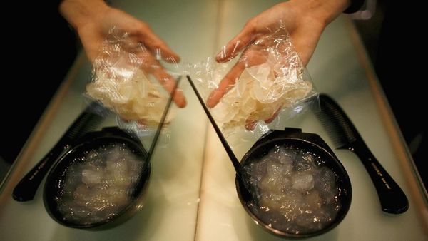 Tren Aneh, Salon Ini Oleskan Sperma Banteng Demi Rambut Sehat