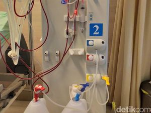 KPCDI: Lebih 60 Ribu Pasien Gagal Ginjal Meninggal Tiap Tahun karena Tak Bisa Cuci Darah