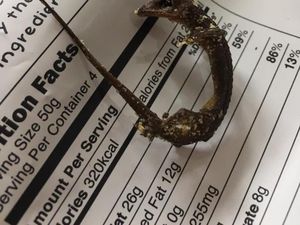 Netizen Kaget Ada Tokek dalam Kemasan Keripik Irvins Singapura