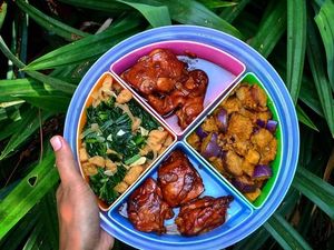 Viral, Cara Mencuci Kotak Bekal Makan yang Efektif Hilangkan Noda