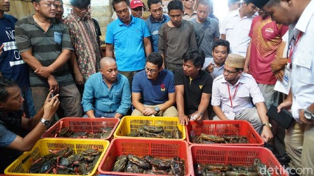 Cawapres Sandiaga Uno saat berkampanye di Tarakan, Kalimantan Utara.