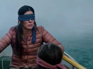 #BirdBoxChallenge, Lahir dan Dicekal oleh Netflix