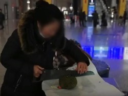 Ditampar Durian hingga Gergaji Durian, Ini 5 Kisah Unik Durian yang Viral