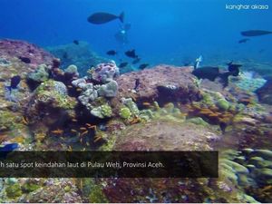 Diving yang Tak Terlupakan di Ujung Barat Indonesia Diving yang Tak Terlupakan di Ujung Barat Indonesia