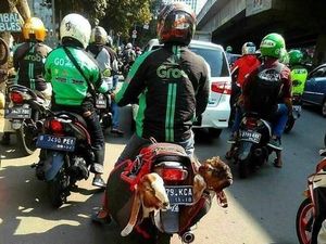 Bakal Ada Jalan Tengah Atasi Masalah Tarik Ulur Tarif Ojol