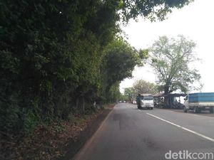 Lebih 3 Kecamatan Jalur Pantura Situbondo Rawan Longsor