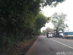 Lebih 3 Kecamatan Jalur Pantura Situbondo Rawan Longsor