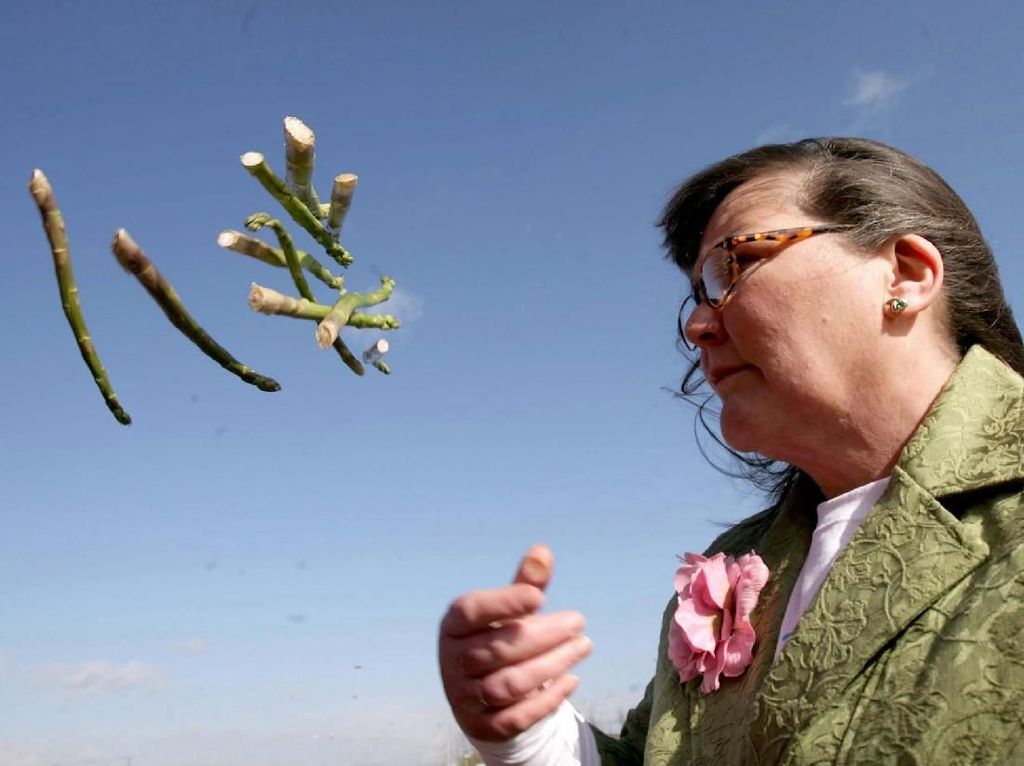 Wanita Ini Gunakan Asparagus Untuk Ramal Keberuntungan 2019 Wanita Ini Gunakan Asparagus Untuk Ramal Keberuntungan 2019