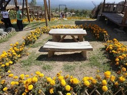 Foto: Taman Bunga di Kaki Gunung Agung