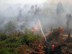 Cegah Kebakaran Hutan, Ilmuwan Dengarkan Suara Hutan