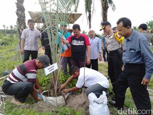 Kota Langsa Merintis Kebun Raya
