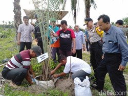 Kota Langsa Merintis Kebun Raya