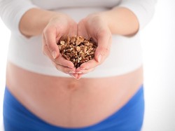 8 Manfaat Ibu Hamil Konsumsi Kacang Kenari