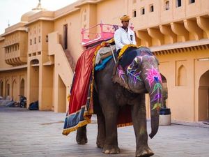 6 Destinasi yang Wajib Didatangi di Jaipur, India 6 Destinasi yang Wajib Didatangi di Jaipur, India