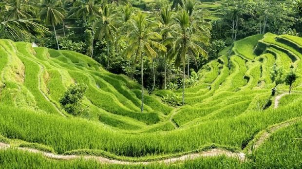 7 Tempat Wisata untuk 'Menafkahi' Sisi Spiritual